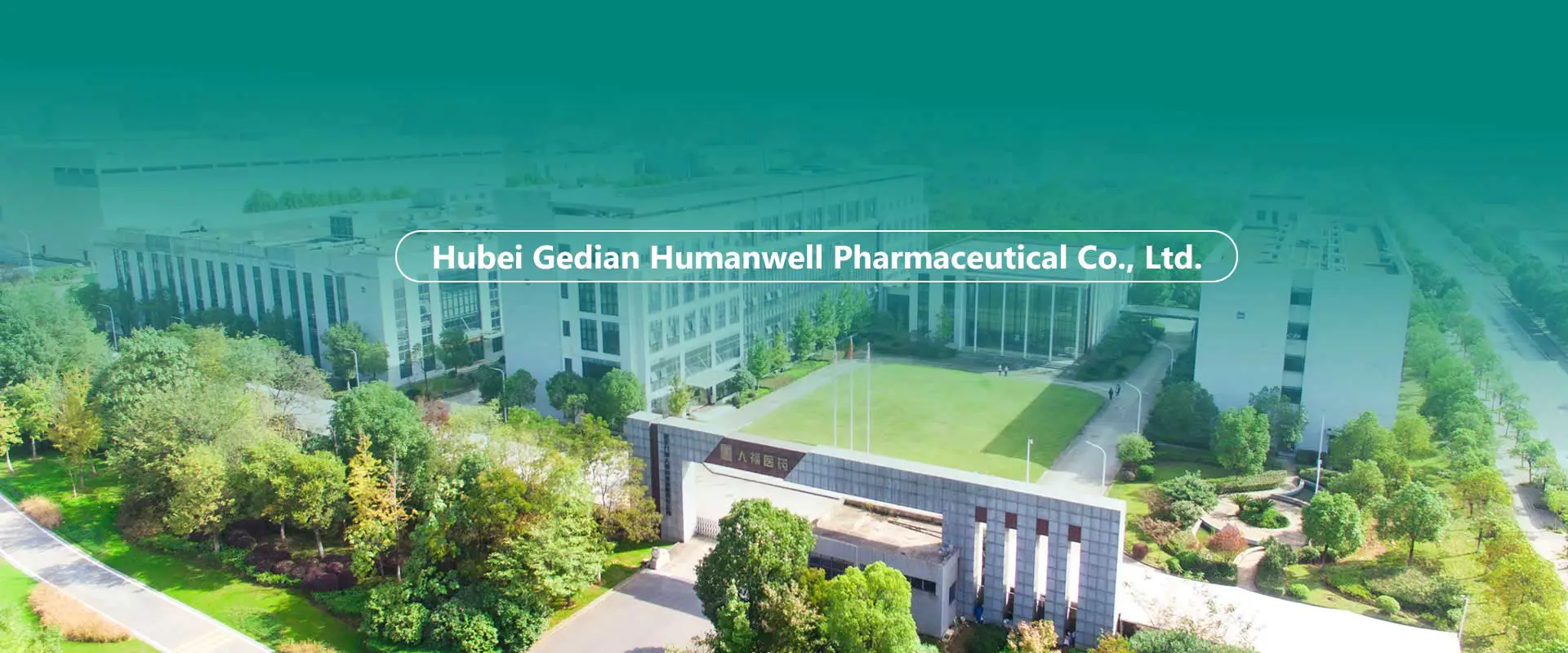 ຈີນ APIs, ຕົວກາງ, ໂຮງງານຜະລິດສູດ