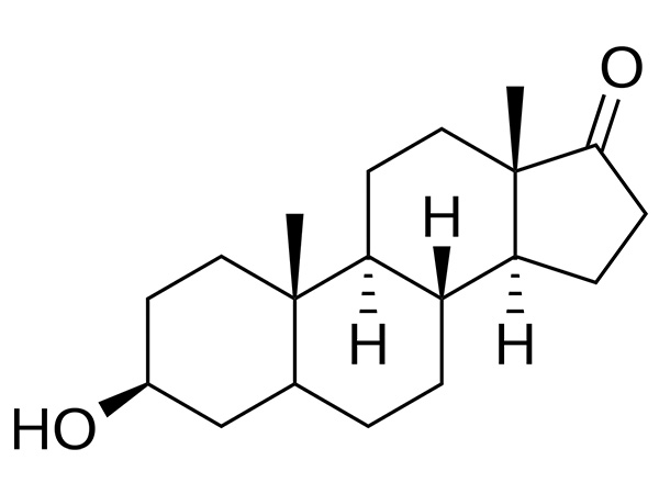 Epiandrosterone ແມ່ນຫຍັງແລະເປັນຫຍັງມັນຈຶ່ງເປັນທີ່ນິຍົມໃນການຄົ້ນຄວ້າຮໍໂມນທີ່ທັນສະໄຫມ
